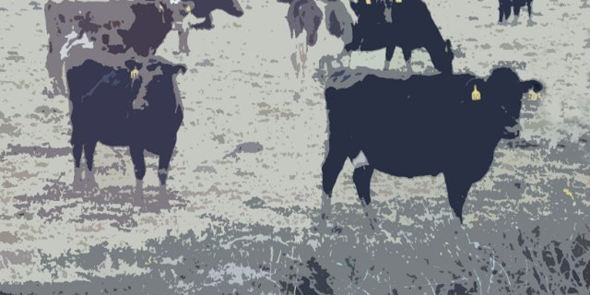 Hotels with Spa in Melbourne