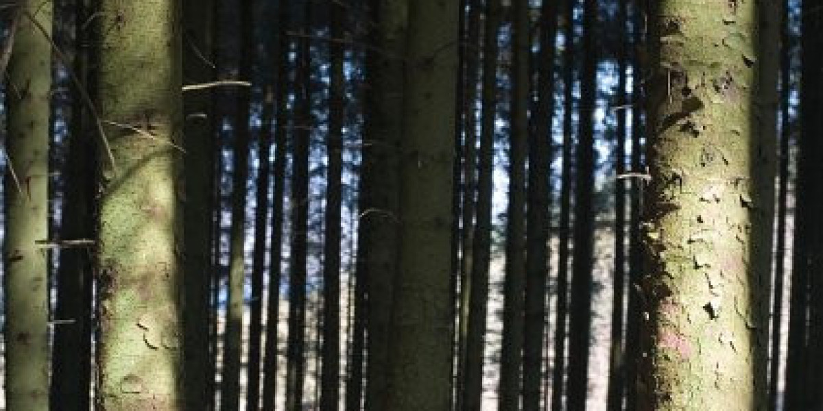 Claim Your Bonus & Win Big!