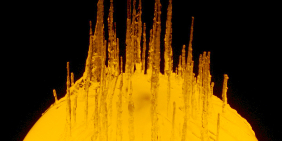 Nejlepší online kasino pro české hráče s bonusy a automaty