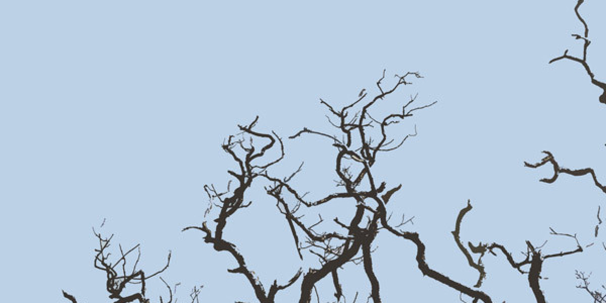 Best Online Casinos Australia Traffic Plus Rates Real