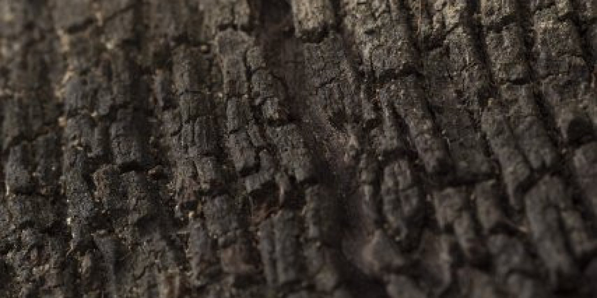 RocketPlay Casino Review Expert & Player Ratings 2025