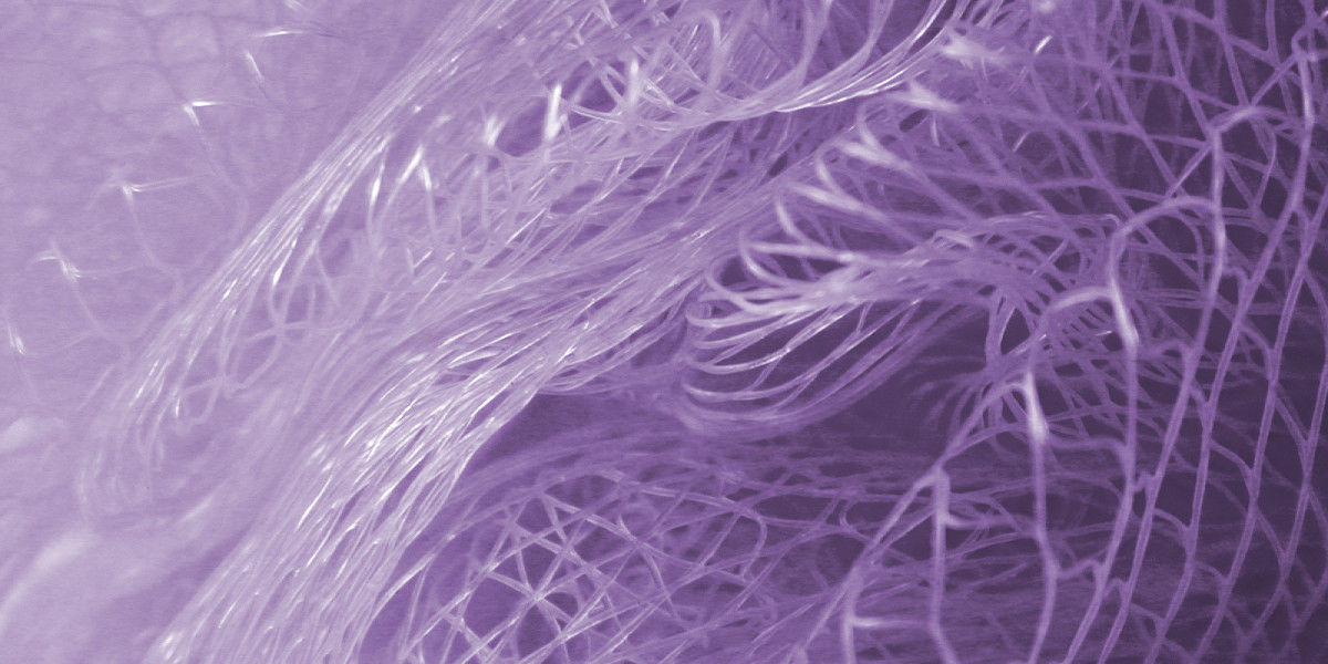 Experience The Best Restaurants In Hobart